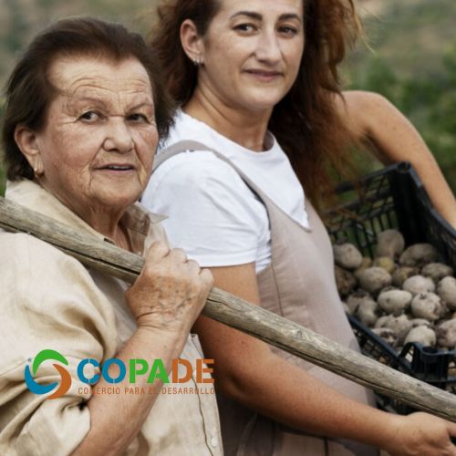 Fundación Copade