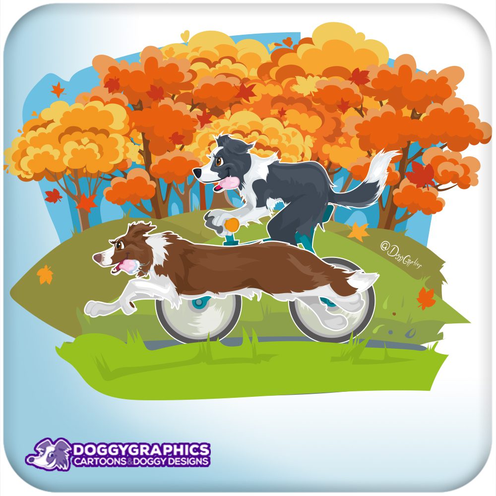 Ilustración de perros border collie en acción – retrato personalizado ilustración de perros border collie estilo cartoon jugando y corriendo retrato personalizado