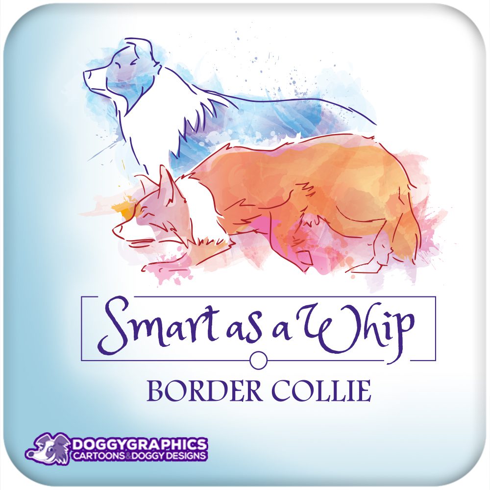 Logo para criadero de border collie – Smart as a Whip logo para criadero de border collie Smart as a Whip con ilustración personalizada